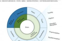多模态交互技术：变革人工智能，拓展应用场景与技术基础