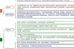 AI领域两种建模思路对比：解释型与预测型模型落地关键差异