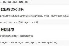 数据驱动时代：Python的Pandas库核心功能及实际案例解析