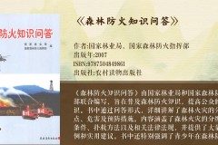 当古老林海遇上数字哨兵：2025 年森林防火软件的变革与实践