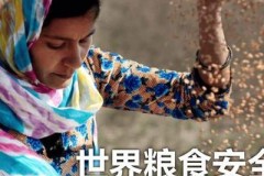 全球人口超85亿粮食安全凸显，智慧农业研究中心2025年六大突破