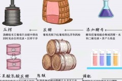 古老酿造工艺遇AI革新红酒品质评估，多维度数据采集助力