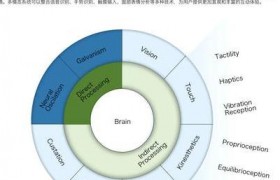 多模态交互技术：变革人工智能，拓展应用场景与技术基础