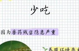 牛蛙养殖需留意！科学管理与人道对待及相关伦理规范探讨