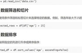 数据驱动时代：Python的Pandas库核心功能及实际案例解析