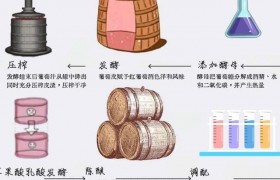 古老酿造工艺遇AI革新红酒品质评估，多维度数据采集助力