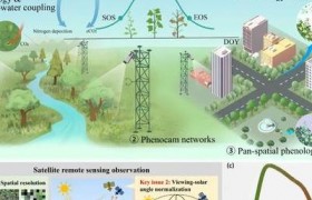 剖析大型模型革新气候预测领域，探讨GPT技术在气象领域的独特优势