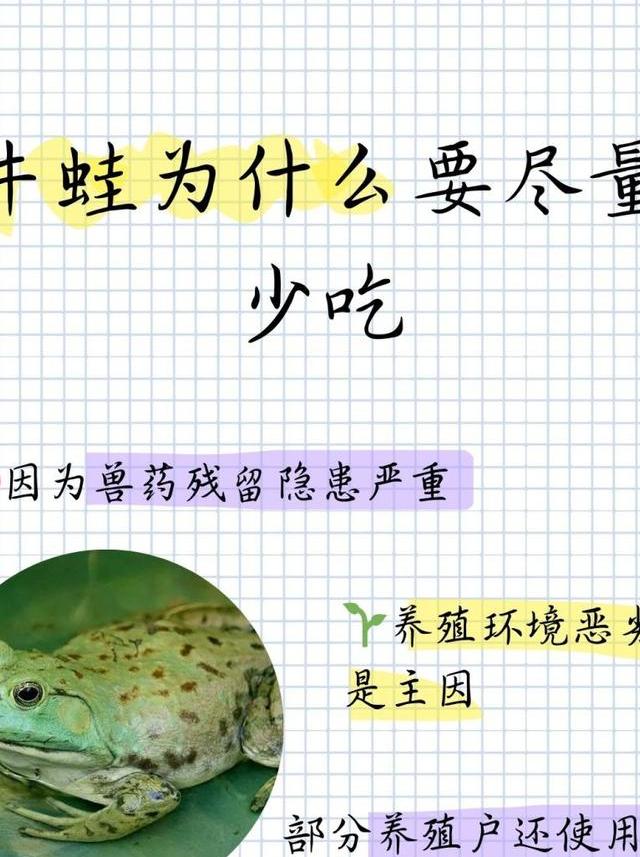 牛蛙养殖需留意！科学管理与人道对待及相关伦理规范探讨